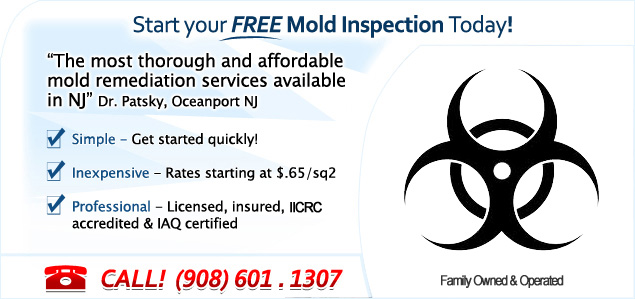 mold inspections nj