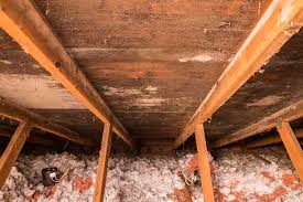 Attic Insulation Mold Removal