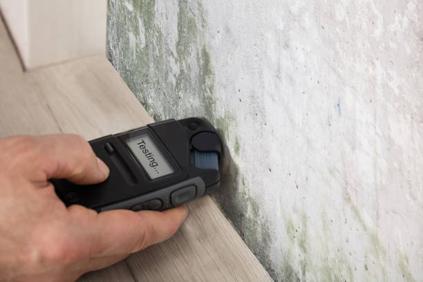 Surface & Swab Mold Testing