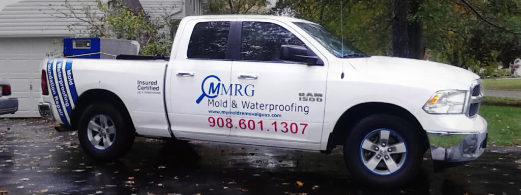 Best Black Mold Testing Company