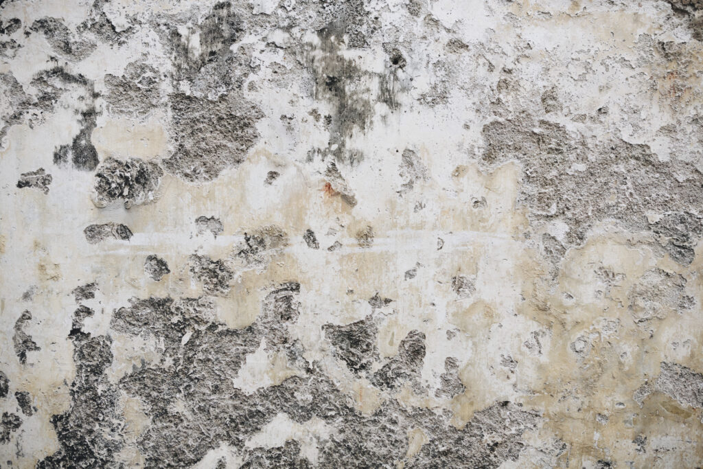Subfloor Mold Removal in New Jersey